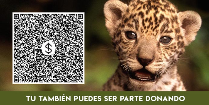 arte-codigo-qr-para-pagina